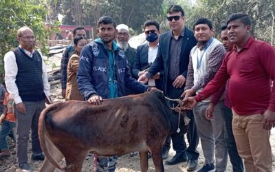 প্রাণিসম্পদ