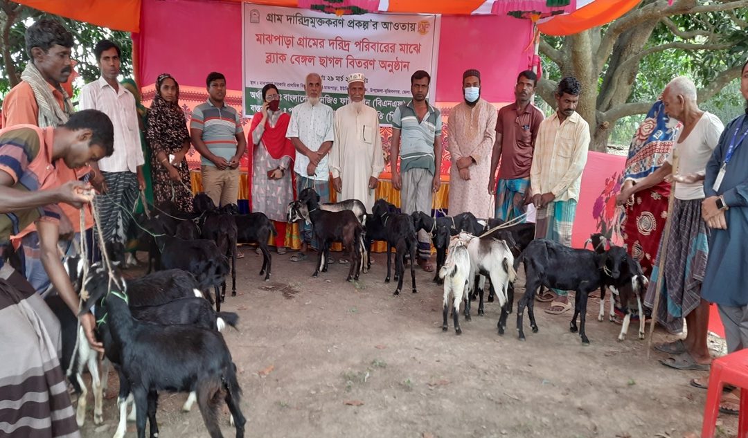 মৎস্য